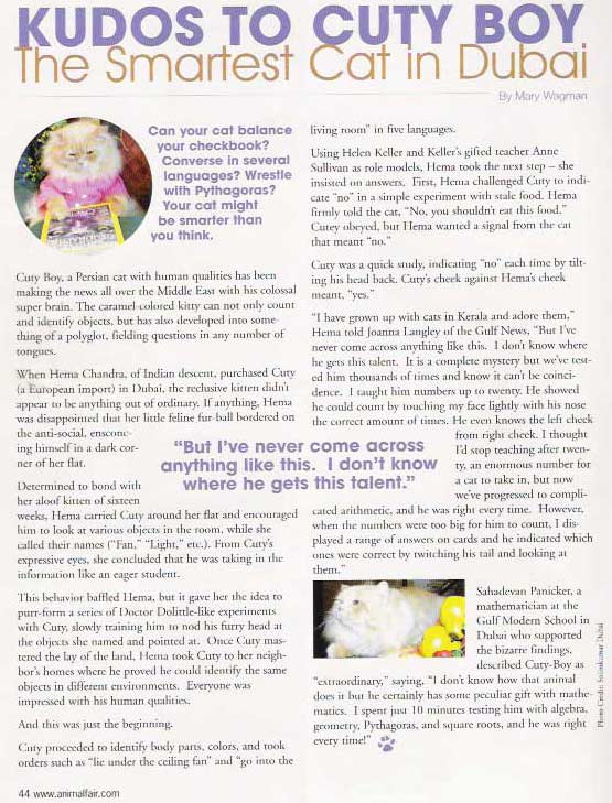 animal fair magazine Newyork